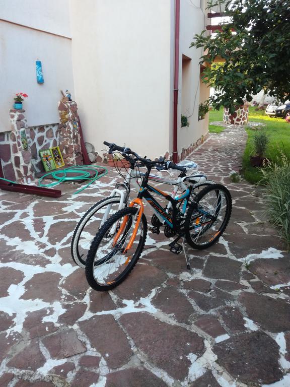 Hadjibulevata Guest House Kovacsevci Kültér fotó